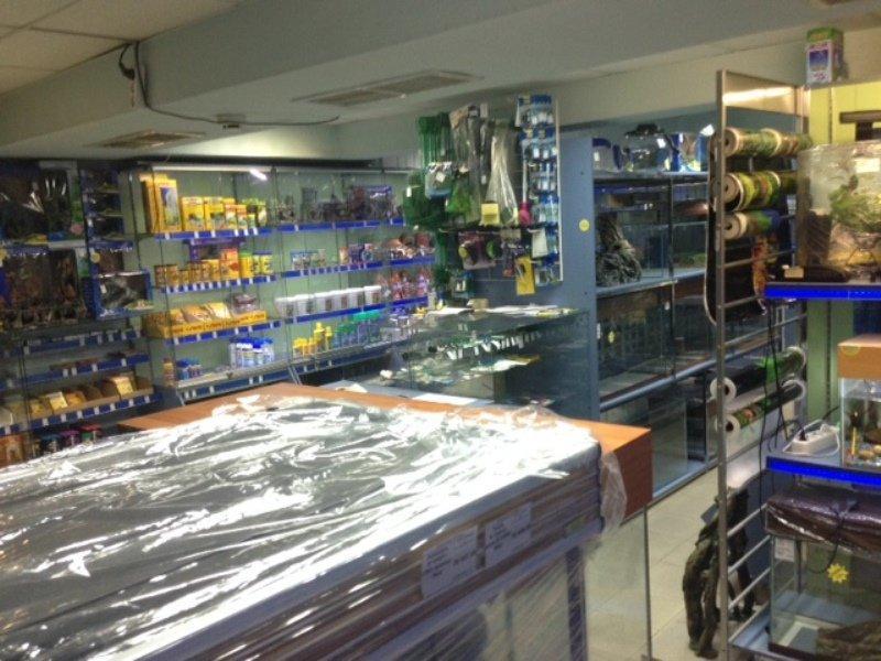 Аквамир ул вспольинское поле 20 фото Аквамир ул вспольинское поле 20 фото